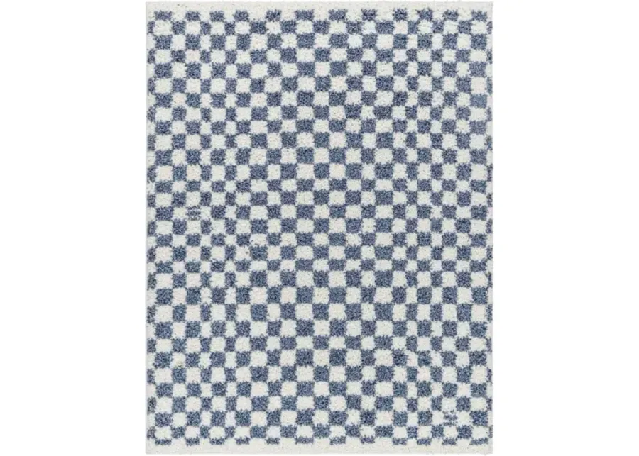 Birmingham BMM-2320 6'7" x 9' Machine Woven Rug