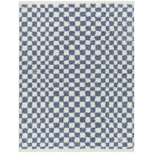 Birmingham BMM-2320 6'7" x 9' Machine Woven Rug