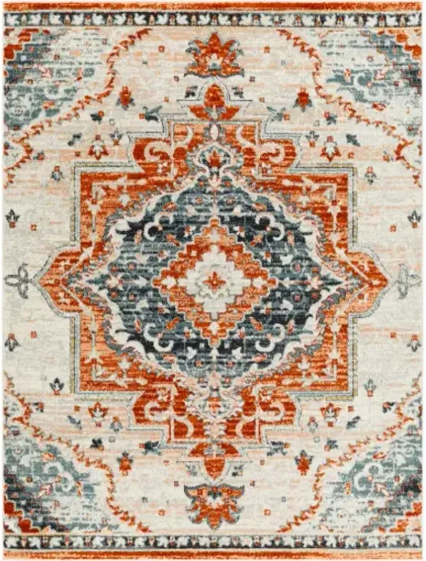Tevazu 6'7" x 9' Rug