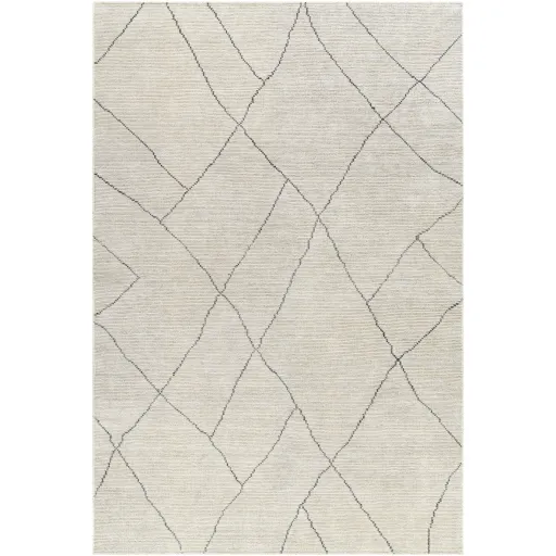 Nalan NYL-2303 2' x 3' Hand Made Rug