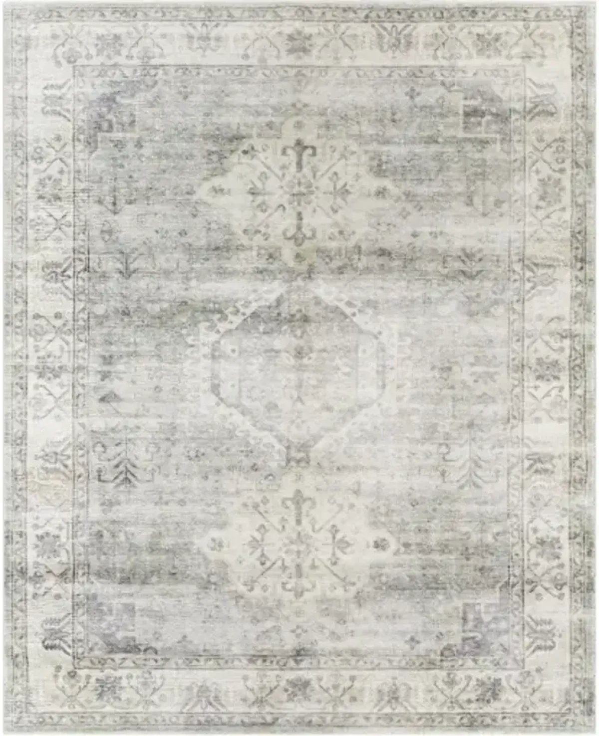 Erin ERN-2317 2'7" x 4' Machine Woven Rug