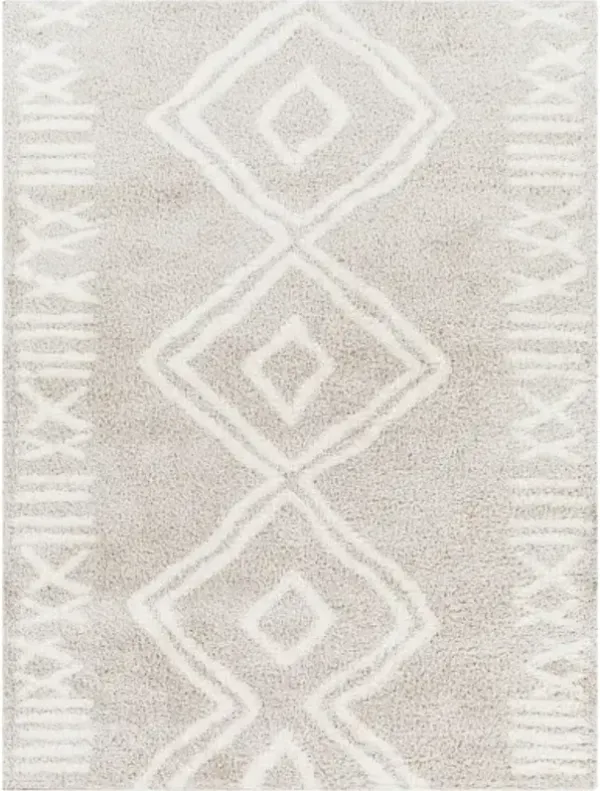 Cloudy Shag CDG-2311 6'7" x 9' Machine Woven Rug