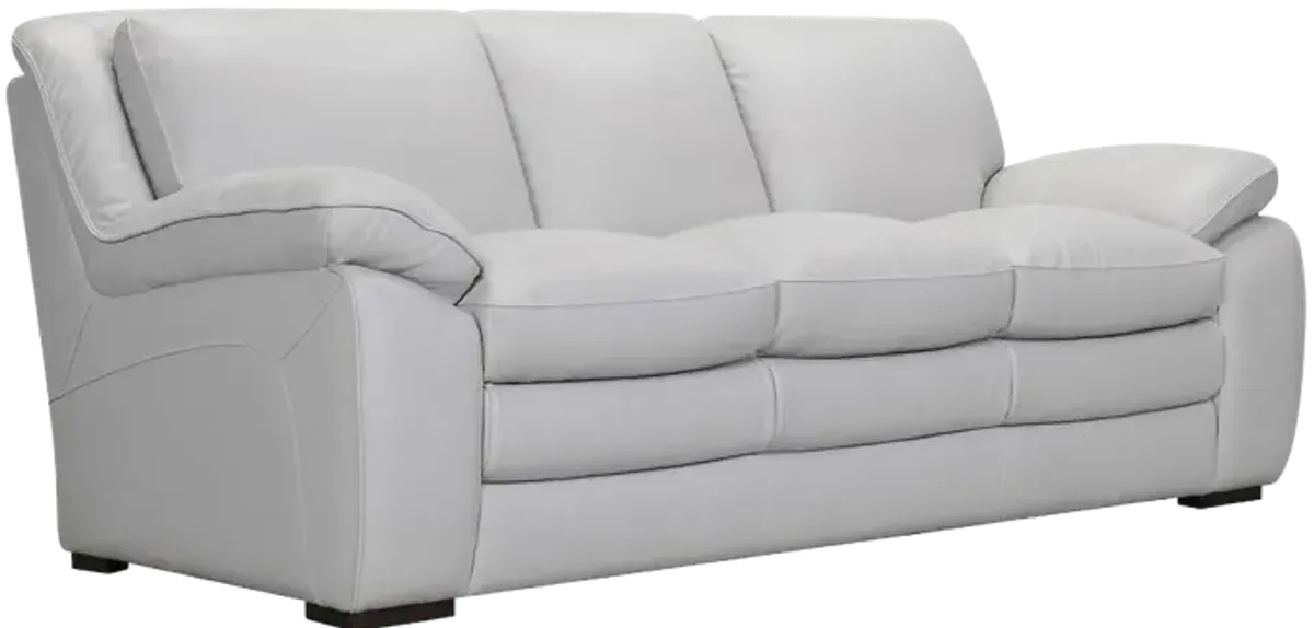 Zanna Contemporary Leather  Sofa 