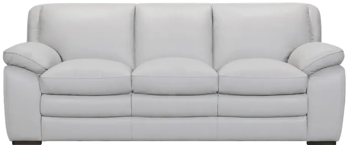 Zanna Contemporary Leather  Sofa 