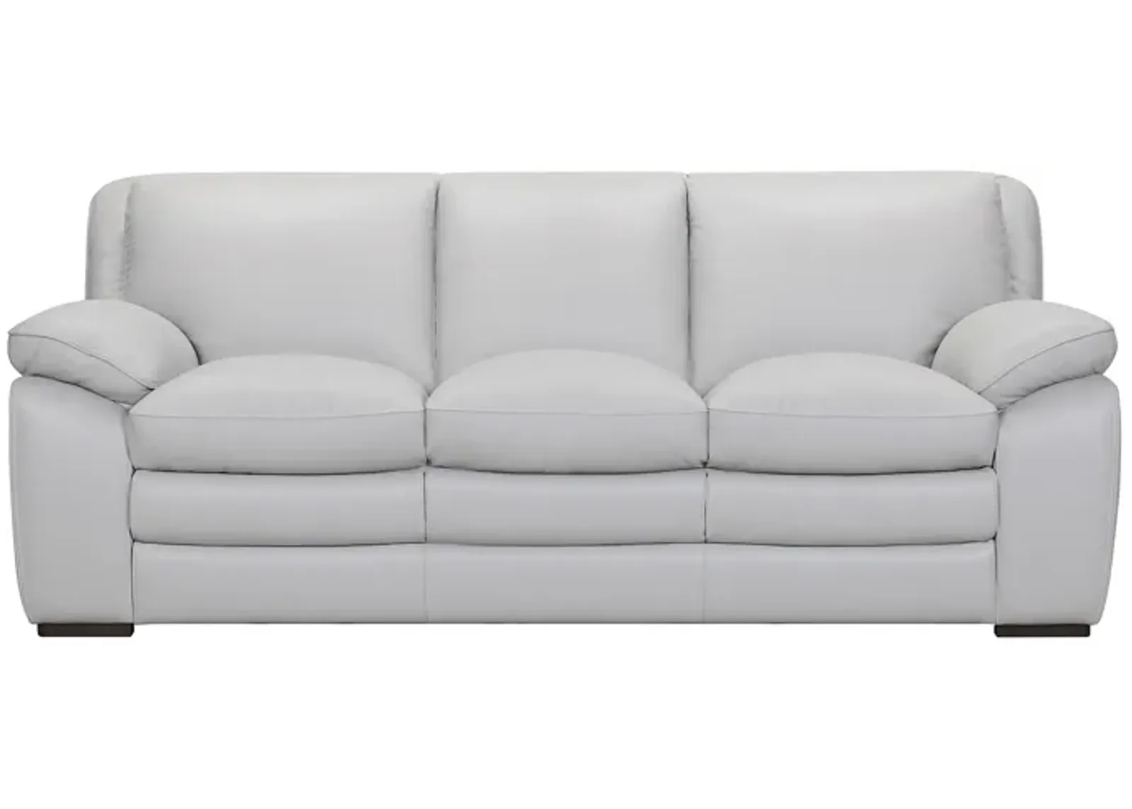 Zanna Contemporary Leather  Sofa 