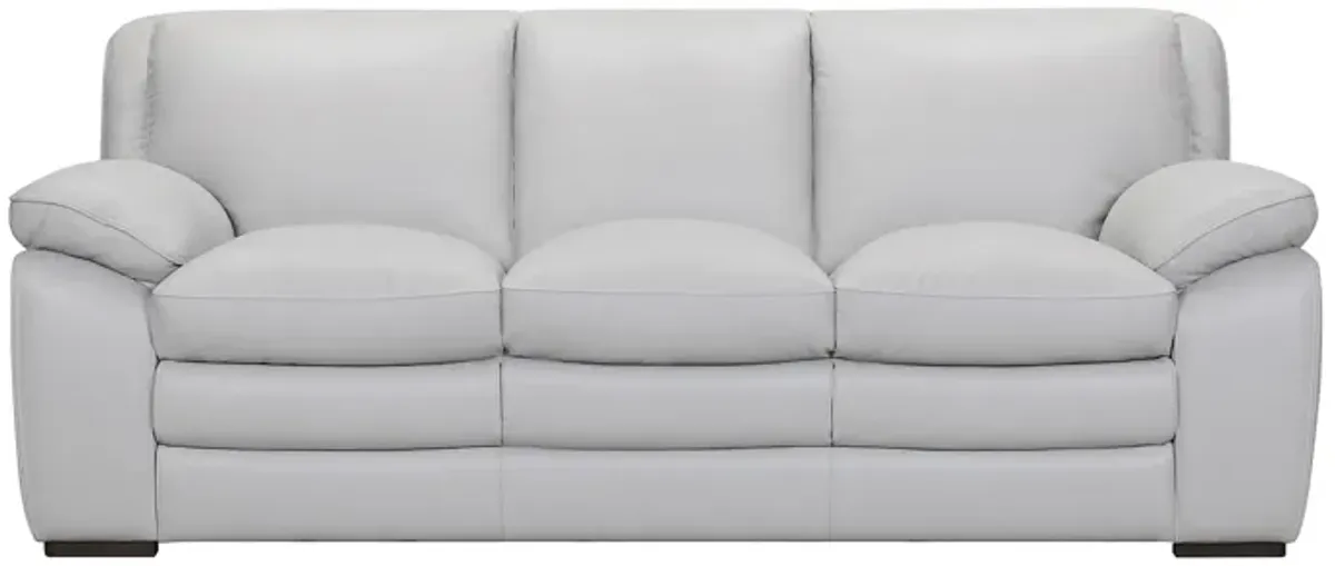 Zanna Contemporary Leather  Sofa 