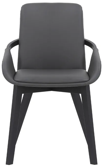 Greisen Modern Gray Wood Dining Room Chair