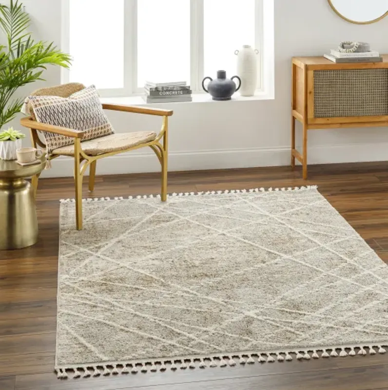 Rudy RDY-2308 6'7" x 9' Machine Woven Rug