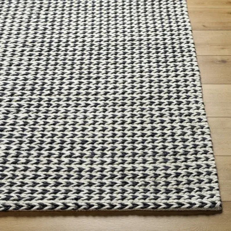 Sundance SDC-2301 2' x 3' Hand Made Rug