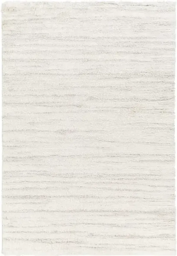 Cloudy Shag CDG-2307 7'10" x 10' Machine Woven Rug