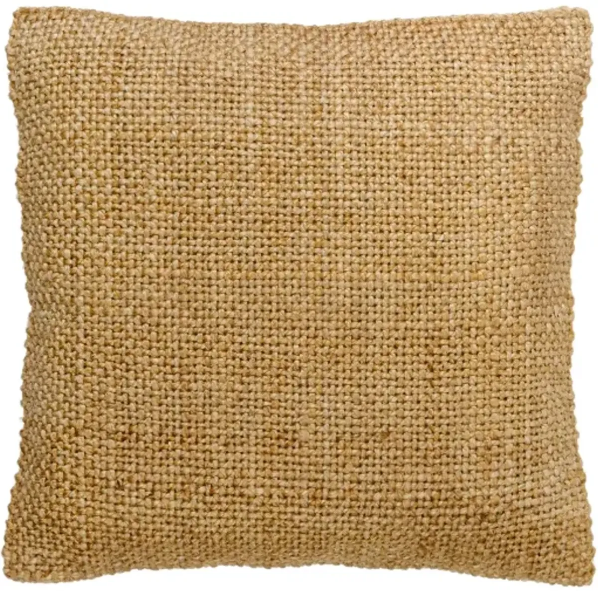 Meerut MUT-001 22"L x 22"W Accent Pillow  - Down Insert