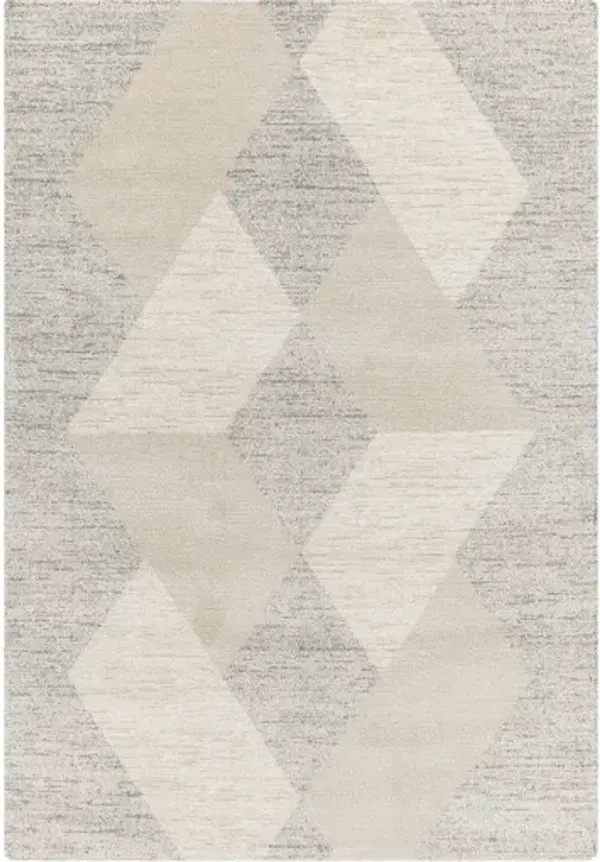 Gavic GVC-2316 7'10" x 10' Machine Woven Rug