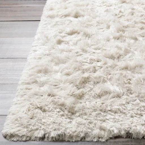 Whisper 2' x 3' Rug