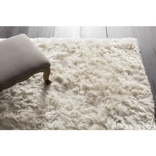 Whisper 2' x 3' Rug