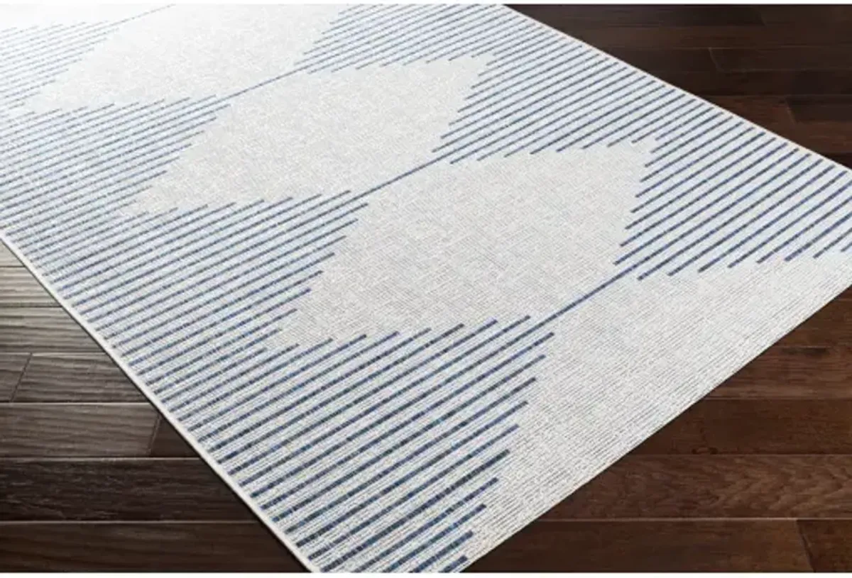 Eagean EAG-2349 2'7" x 12' Rug