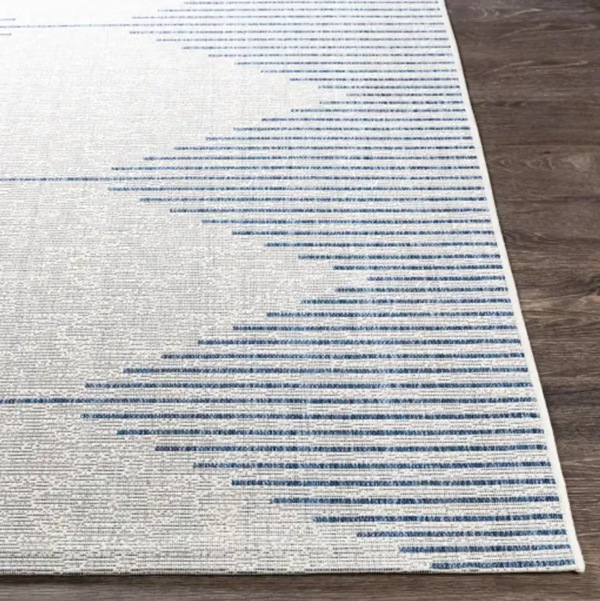 Eagean EAG-2349 2'7" x 12' Rug