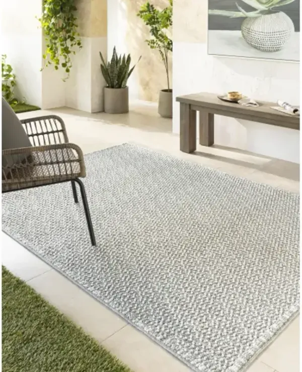 Bouclair BCR-2315 7'10" x 10' Machine Woven Rug