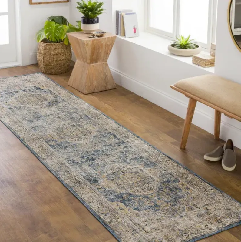 Aspendos APS-2304 2'7" x 7'3" Rug