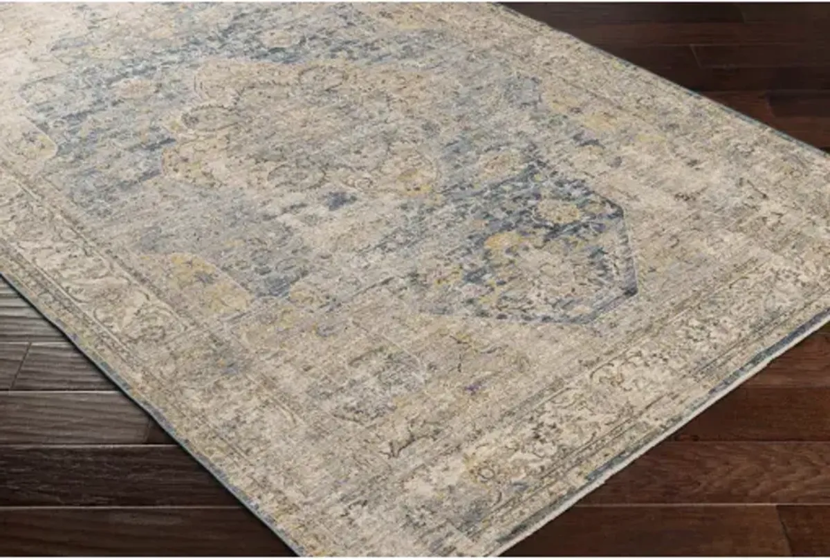 Aspendos APS-2304 2'7" x 7'3" Rug