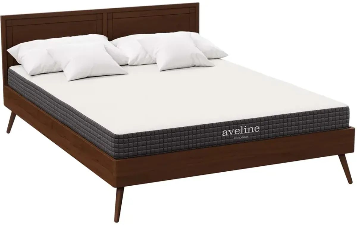 Aveline 6" Queen Mattress