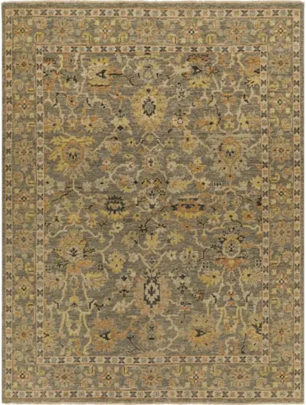 Reign REG-2313 8' x 10' Handmade Rug