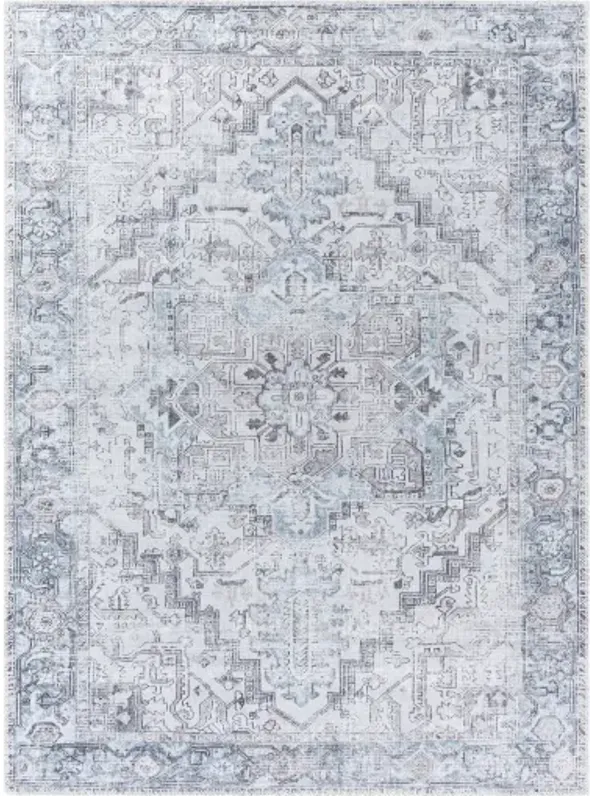 Embrace EMA-2303 6'7" x 9' Machine Woven Rug