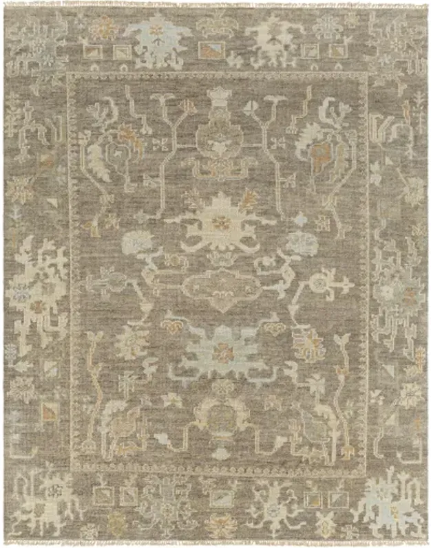 Antalya AAT-2303 9' x 12' Handmade Rug