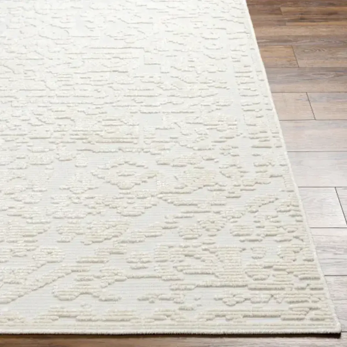 Lyna LYA-2318 3'3" x 5' Machine Woven Rug