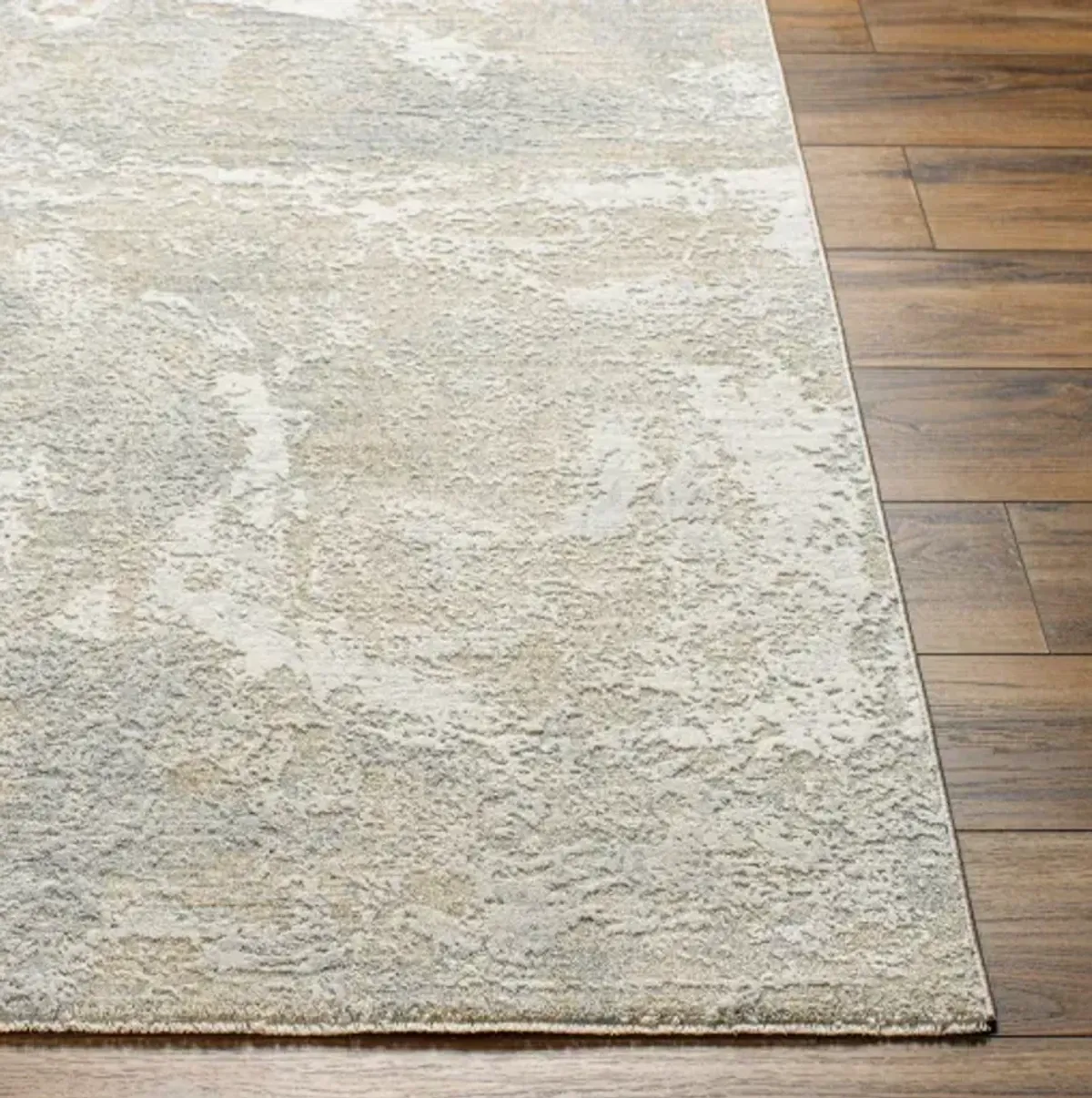 Brunswick BWK-2345 2'7" x 3'11" Machine Woven Rug