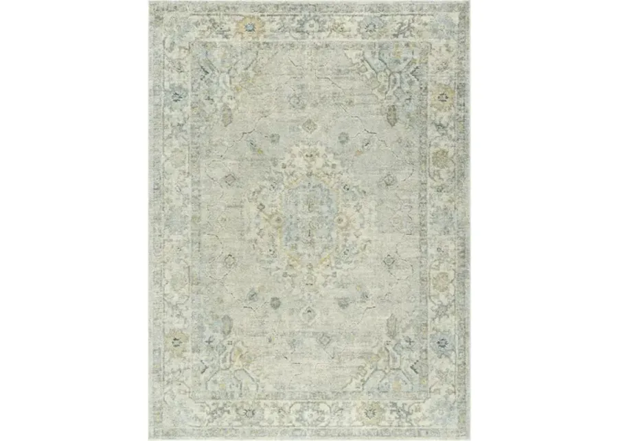 Avellino AVL-2316 5'3" x 7' Machine Woven Rug