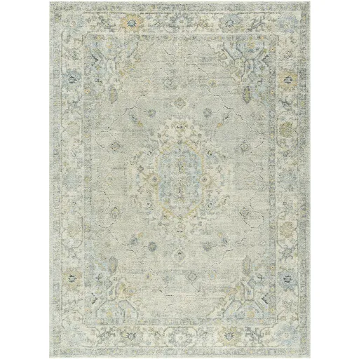 Avellino AVL-2316 5'3" x 7' Machine Woven Rug