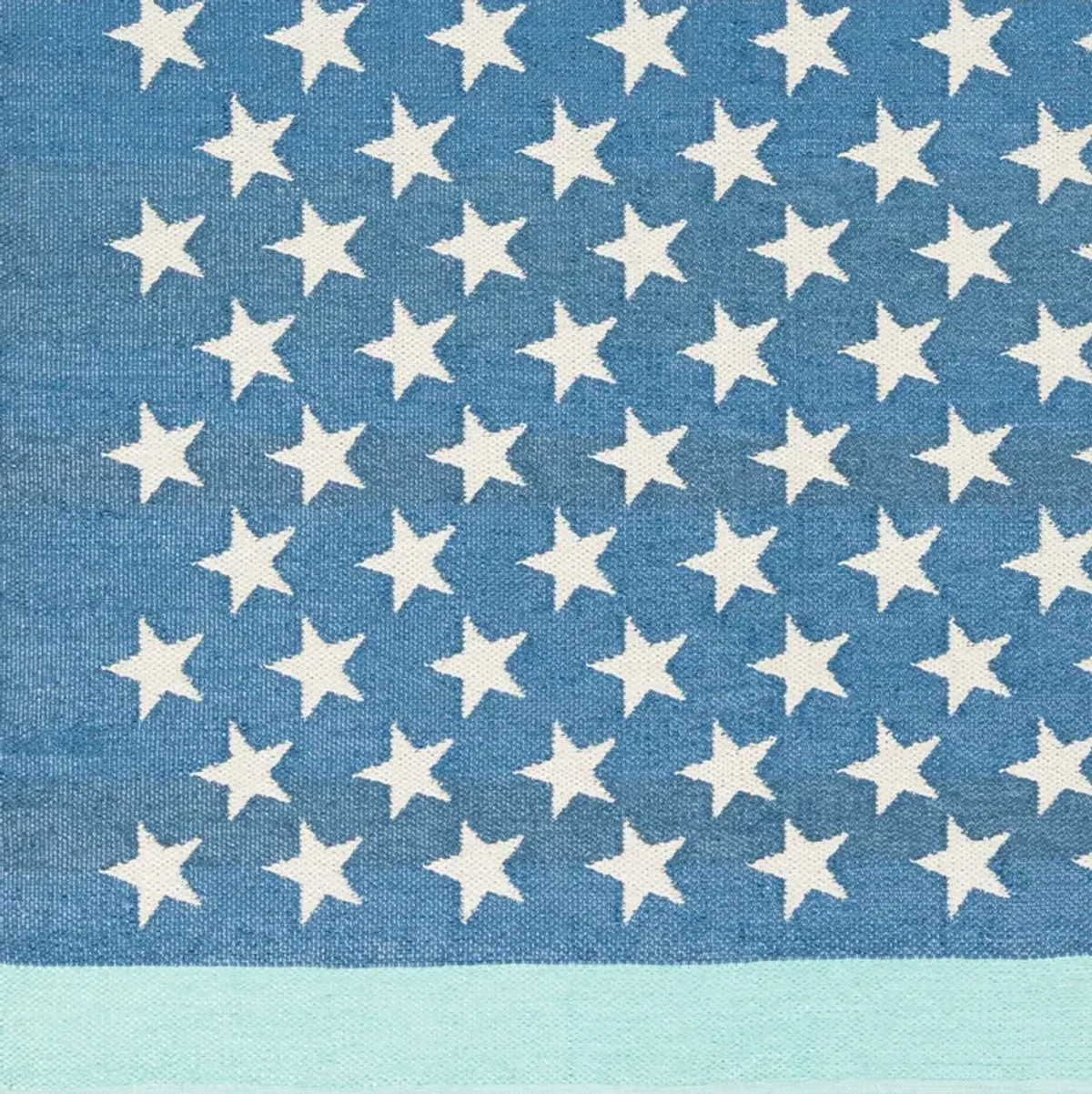 Picnic PIC-4010 2' x 3' Hand Made Rug