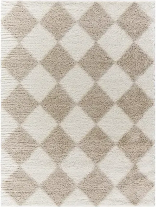 Cloudy Shag CDG-2338 7'10" x 10' Machine Woven Rug