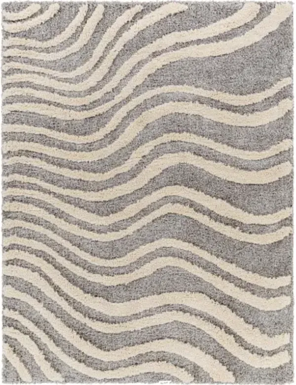Hudson shag 9'2" x 12' Rug