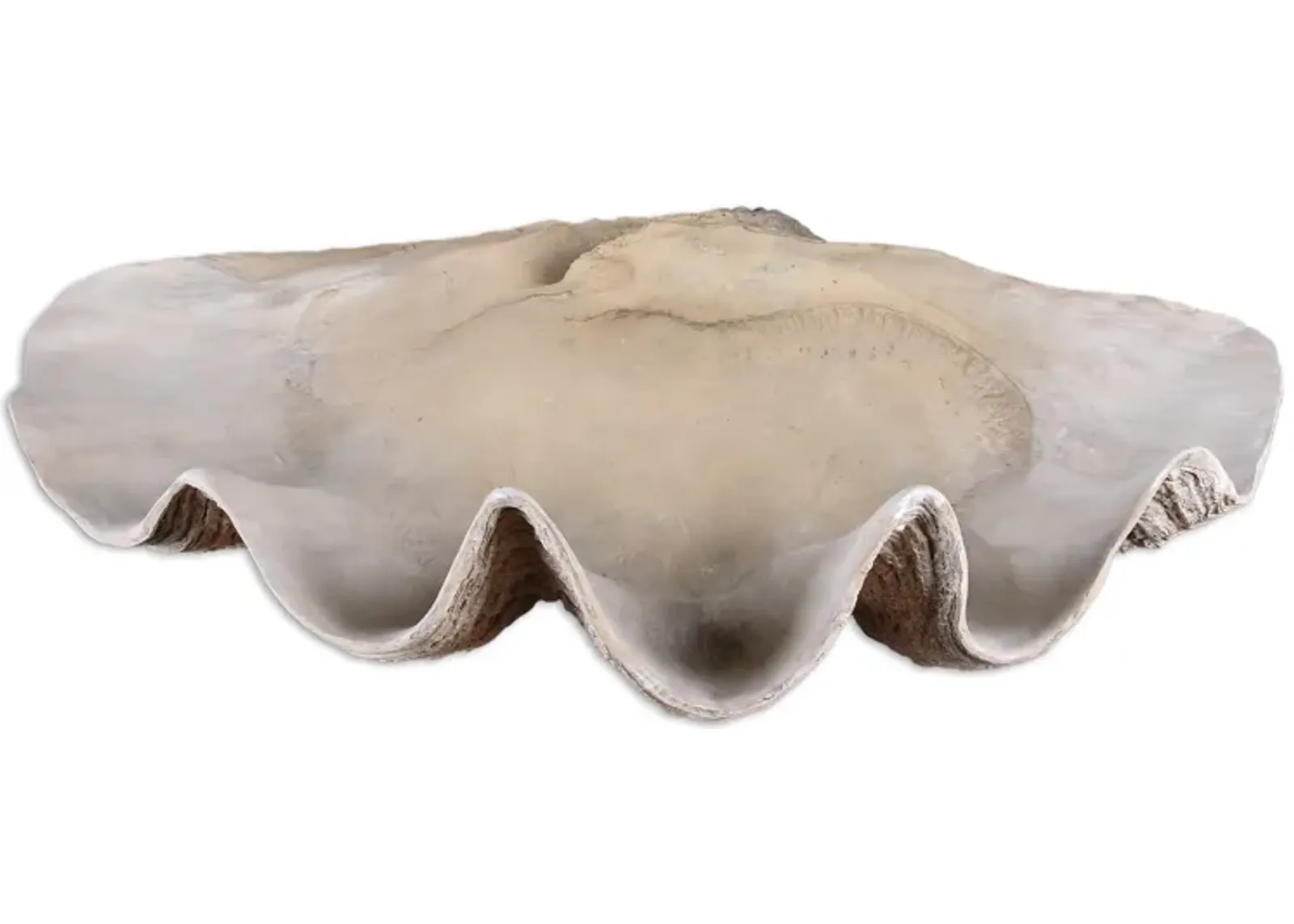 Clam Shell Bowl