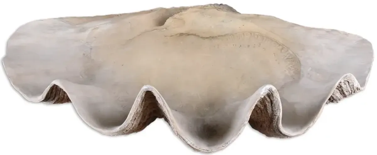 Clam Shell Bowl