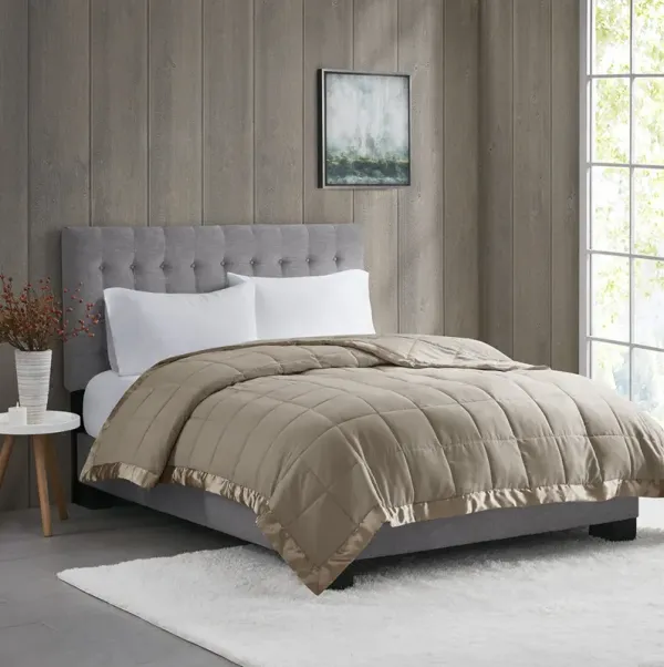 Madison Park Windom Brown Lightweight Down Alternative Blanket with Satin Trim