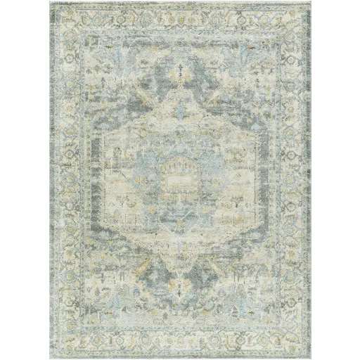 Avellino AVL-2303 5'3" x 7' Machine Woven Rug