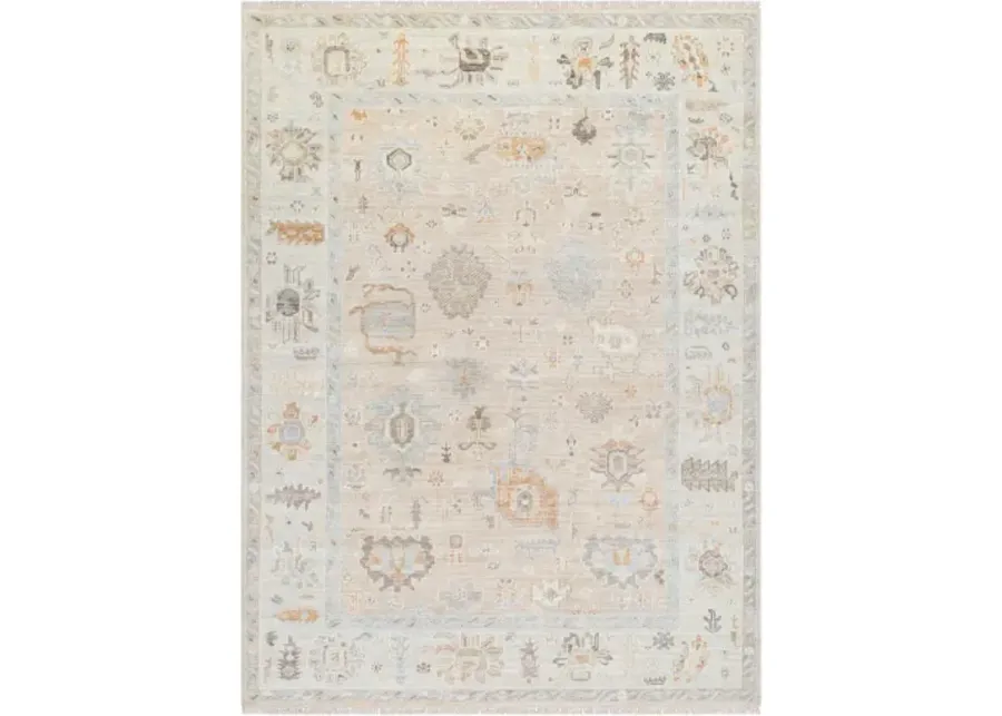 Antalya AAT-2314 6' x 9' Handmade Rug