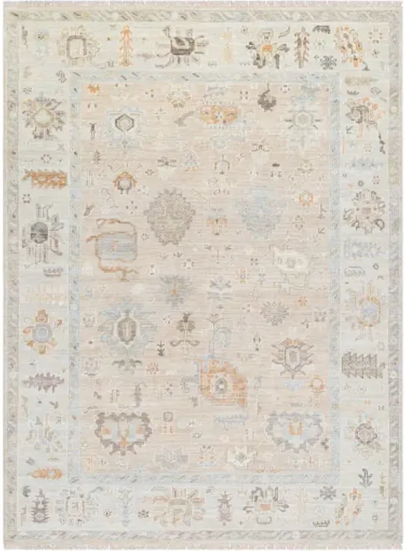 Antalya AAT-2314 6' x 9' Handmade Rug