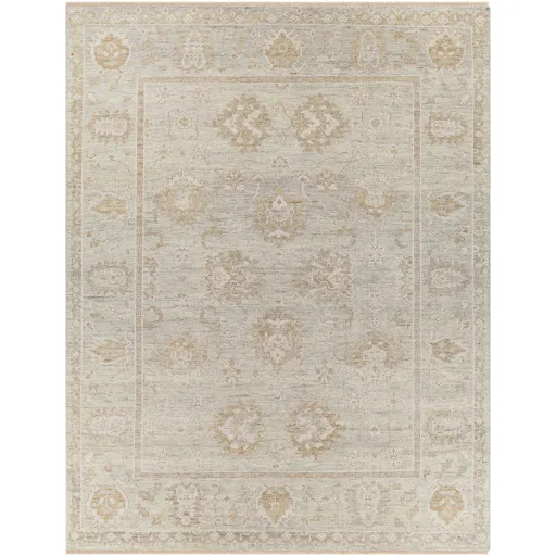 Biscayne 2' x 3' Rug