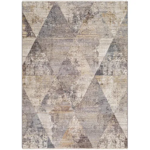 Aida AAD-2308 2'7" x 4'11" Machine Woven Rug