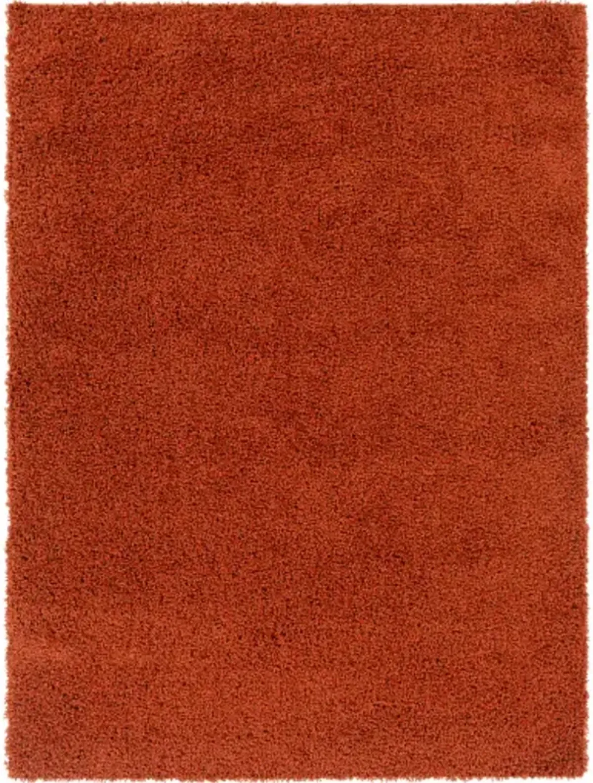 Bliss shag 2' x 3' Rug