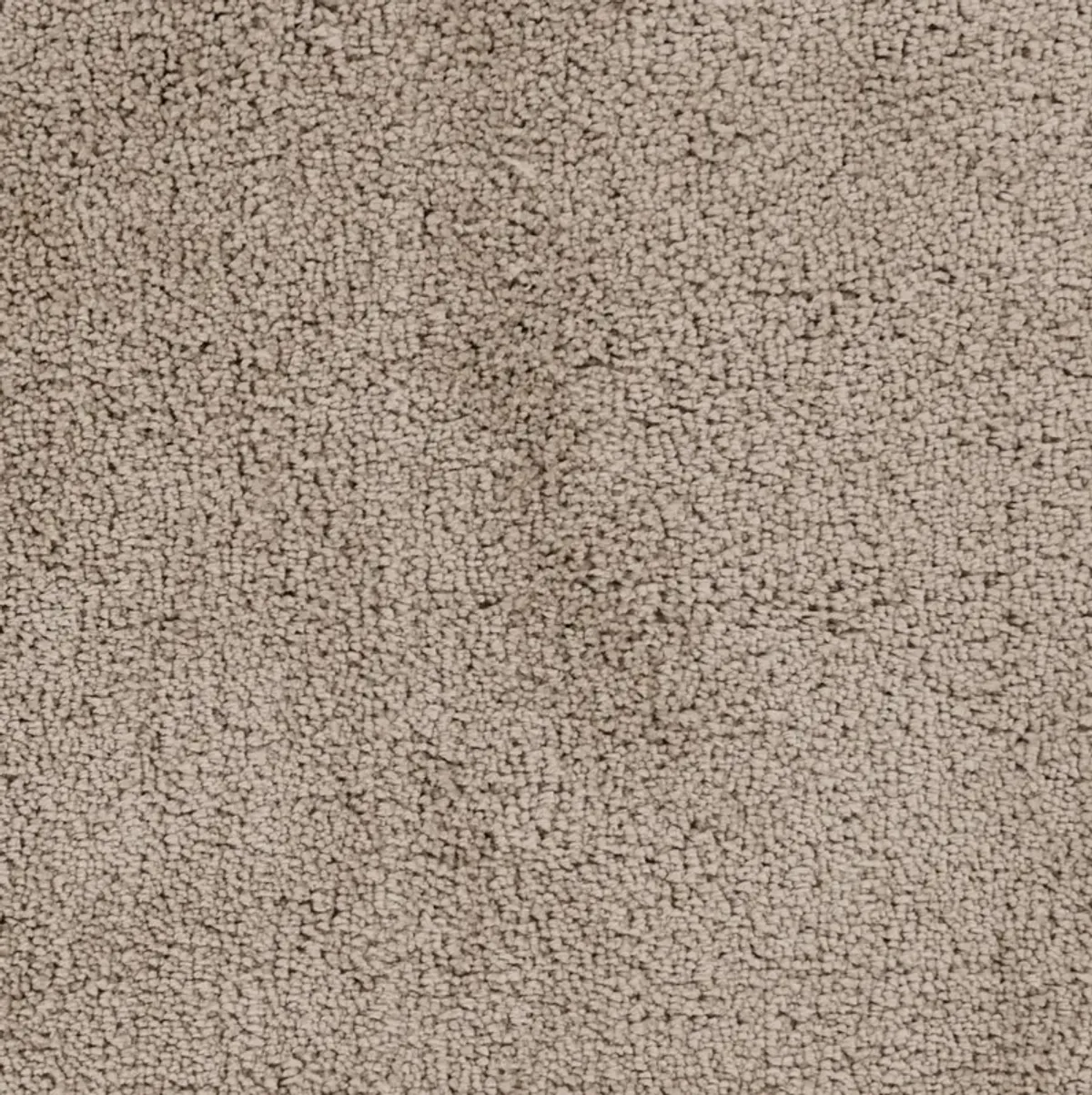 Goddess GDS-7512 2' x 3' Hand Made Rug