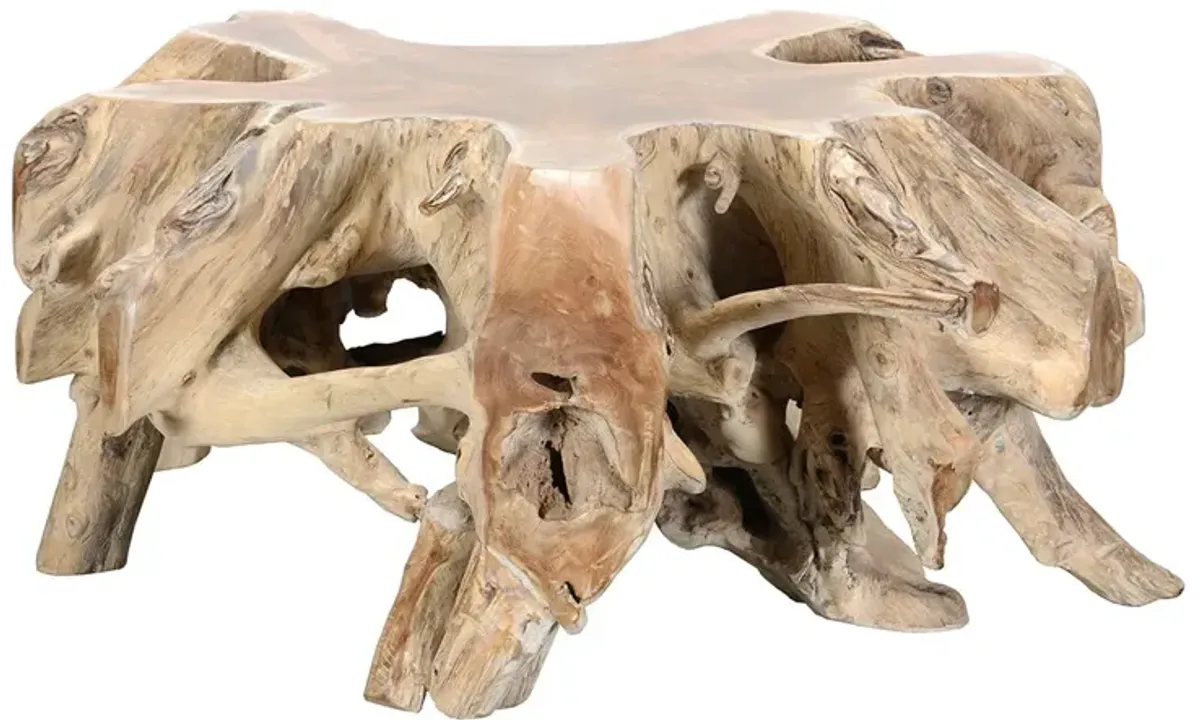 Cypress Root Coffee Table