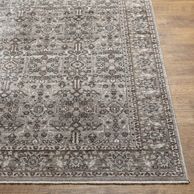 Carlisle CSI-2301 2'11" x 10' Rug