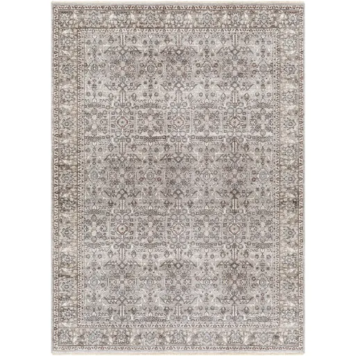 Carlisle CSI-2301 2'11" x 10' Rug