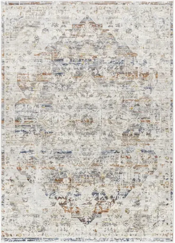 Edmonton EDO-2300 6'7" x 9' Machine Woven Rug