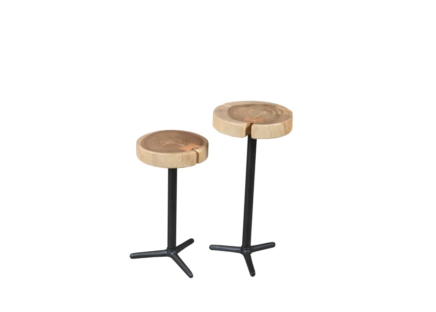 Organic Martini Tables - Set of 2