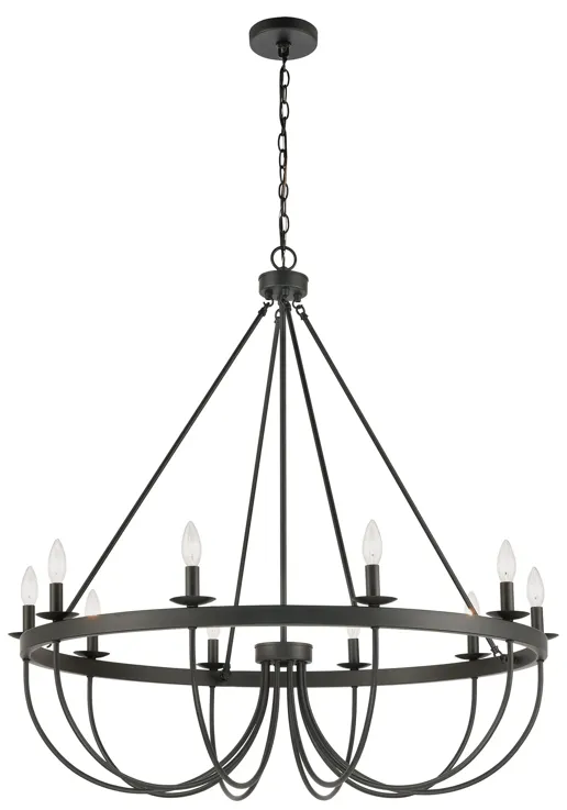 Williamson 38" Wide 10-Light Chandelier - Black